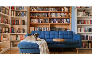 Das Sofa als Ausdruck des Stils: Die Wahl der richtigen Form und Farbe