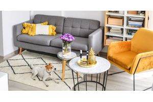 Sofas und Sessel auf Beinen – Vor- und Nachteile. Lohnt es sich, dieses Modell für Ihr Wohnzimmer zu wählen?