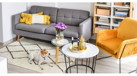 Sofas und Sessel auf Beinen – Vor- und Nachteile. Lohnt es sich, dieses Modell für Ihr Wohnzimmer zu wählen?