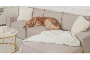 Wie hält man ein Sofa in gutem Zustand, wenn Kinder und Haustiere im Haus sind?